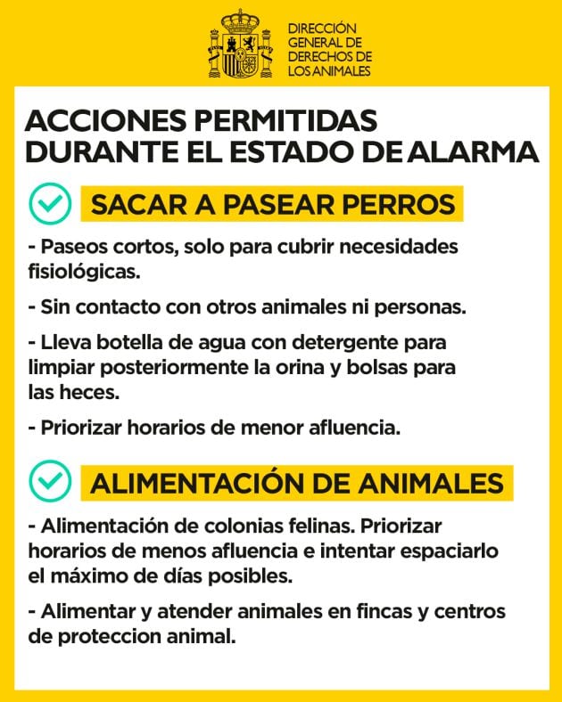 Animales de compañia