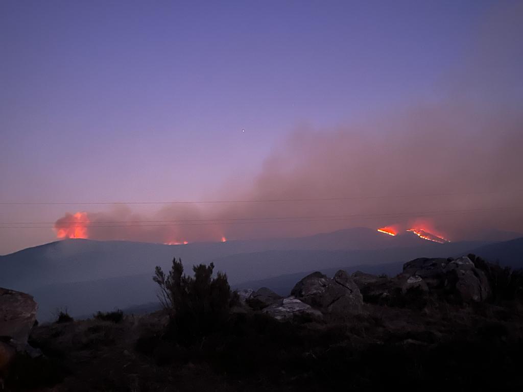 Incendio en Calvos de Randín que afectó a 0,02 hectáreas de monte raso del Parque Natural Baixa Limia-Serra do Xurés