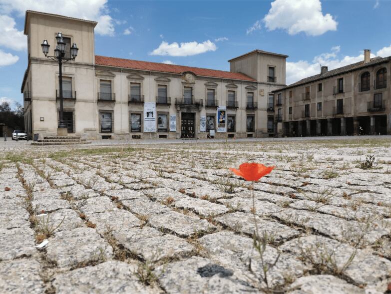 Palacio Ducal de Medinaceli