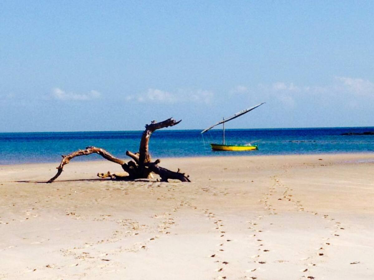 Viajando por la vida