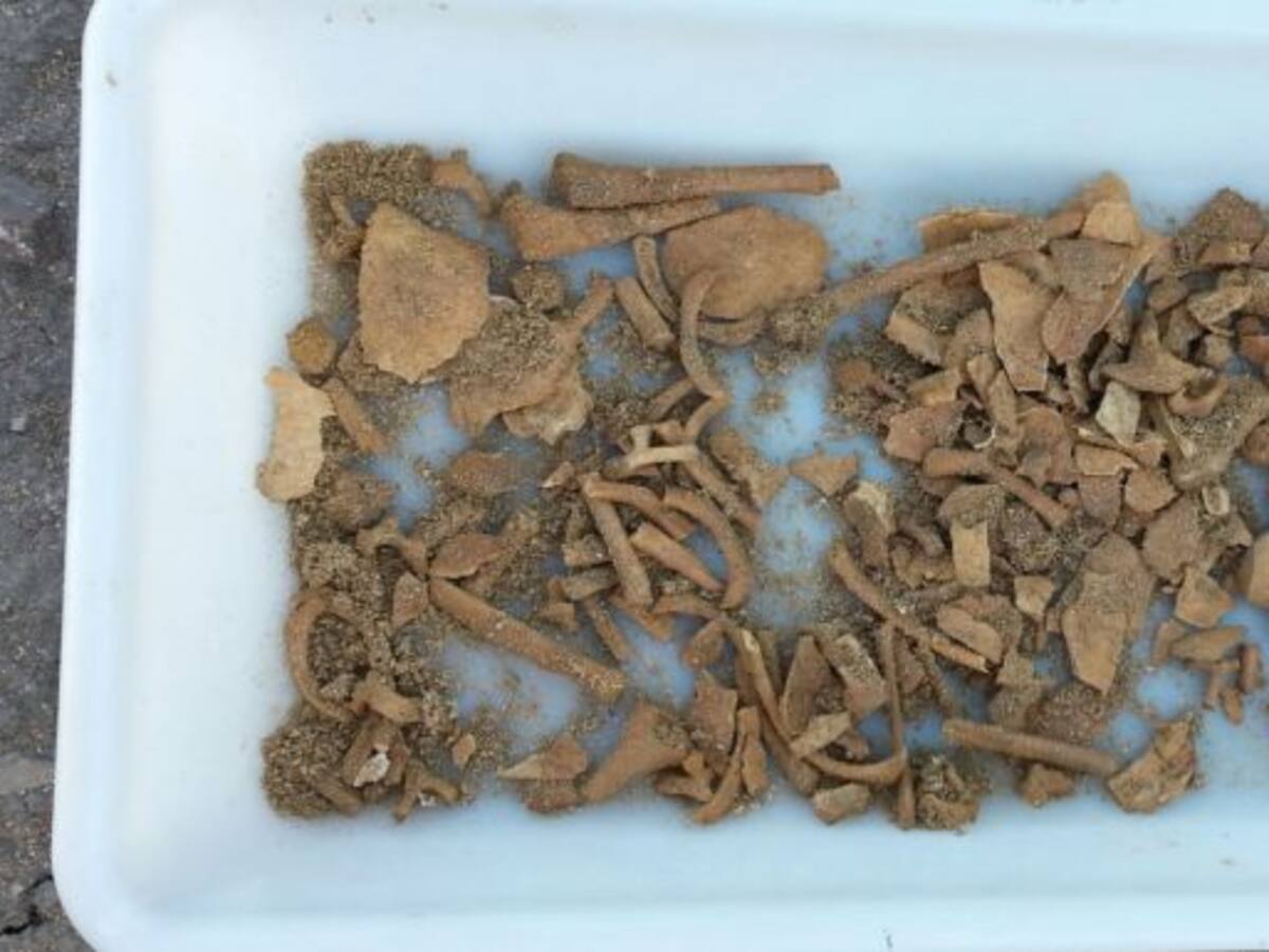 Aparece el esqueleto de un bebé en el yacimiento de A Lanzada