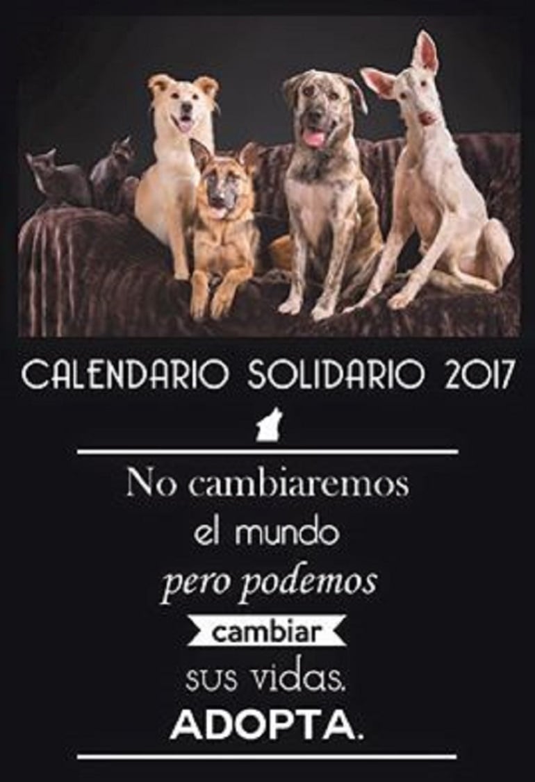 Calndario Solidario publicado por ASCAN