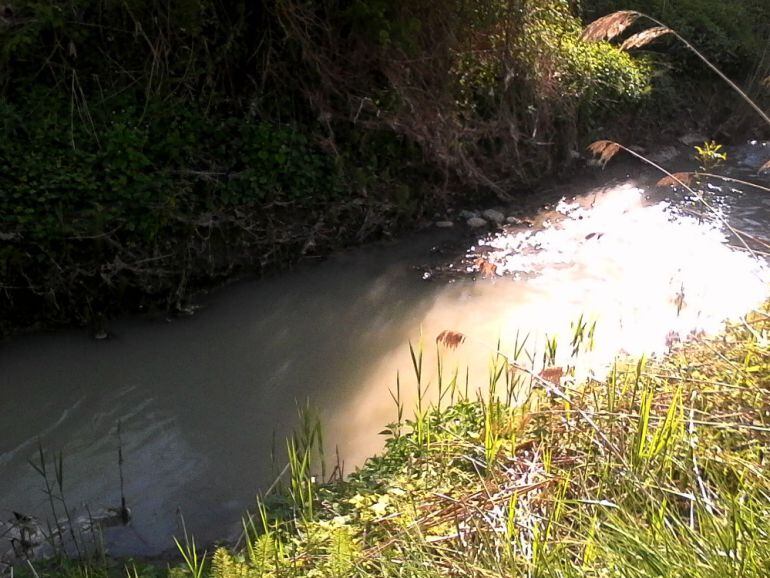 El río Zadorra tras pasar por la depuradora de Agurain 