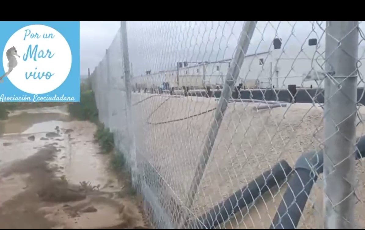 Los colectivos ecologistas denuncian ante la Guardia Civil un presunto vertido ilegal de purines en una rambla de Torre Pacheco