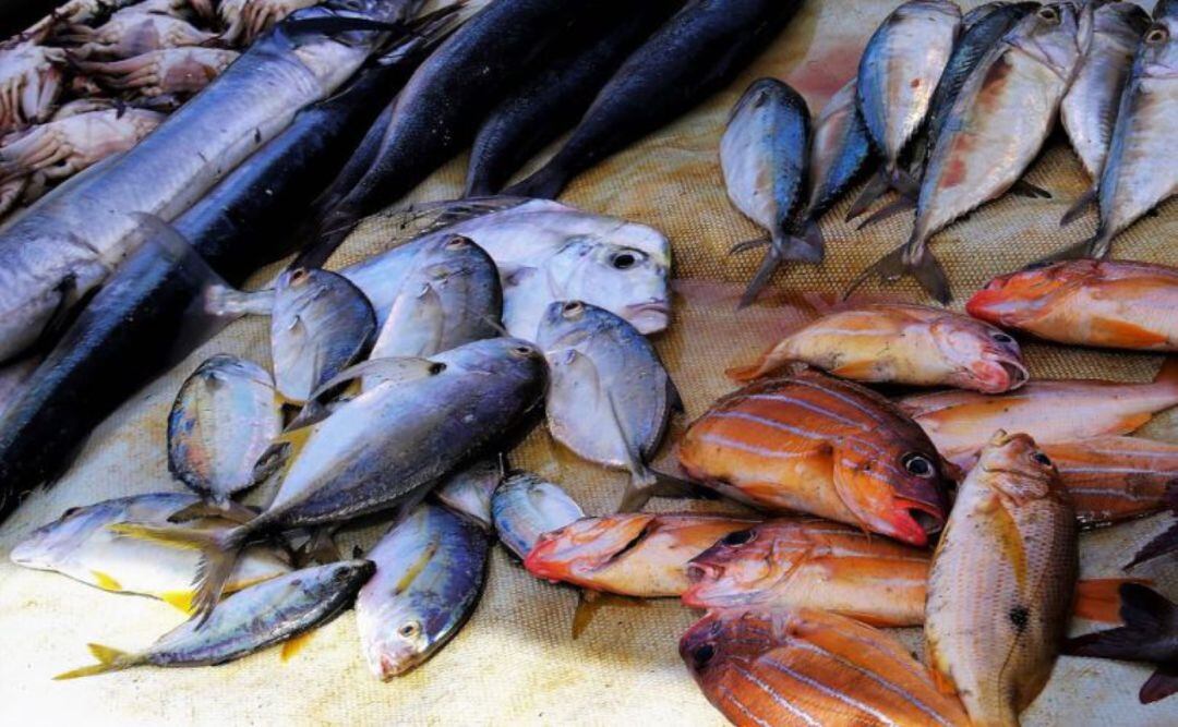 El Consell ha notat un major compliment de la normativa a les inspeccions pesqueres.