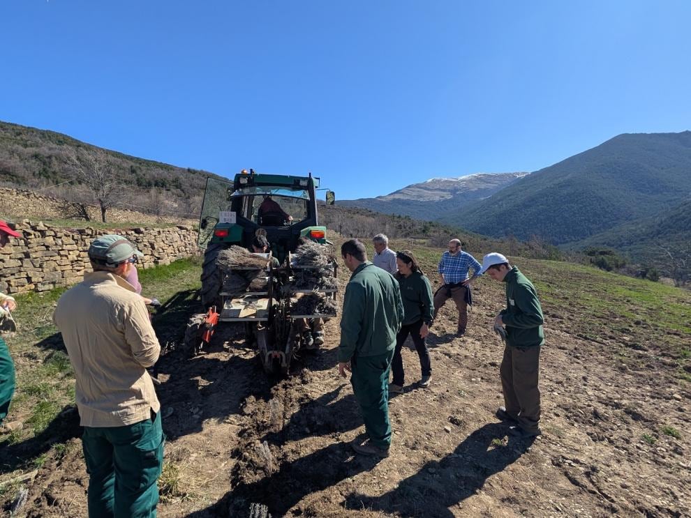 Estas parcelas de Espierre nunca han sido trabajadas con medios mecánicos