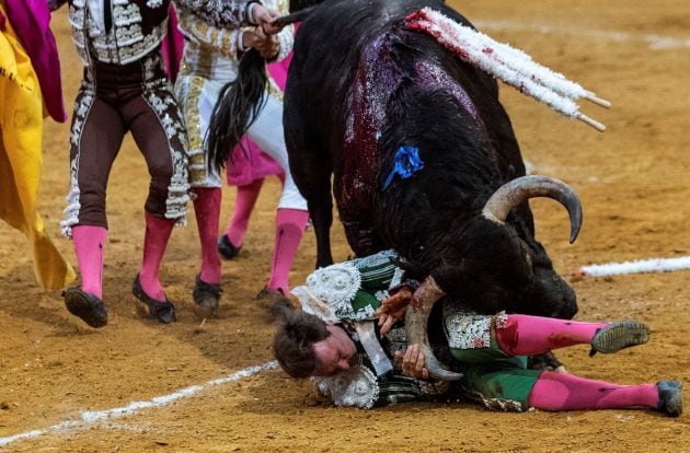 Momentos angustiosos en la voltereta a Juan José Domínguez