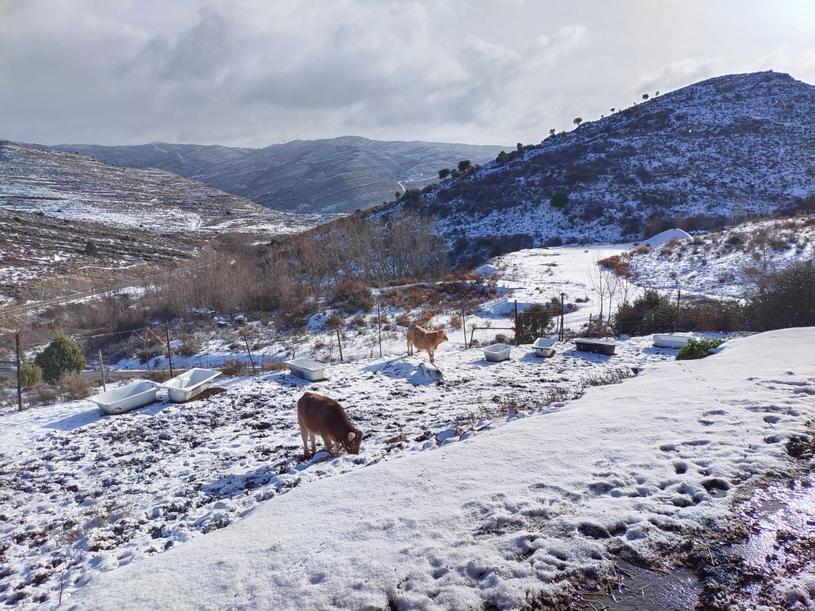 Entorno de Enciso con nieve
