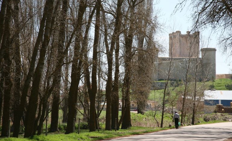 Vista del castillo de Torrelobatón