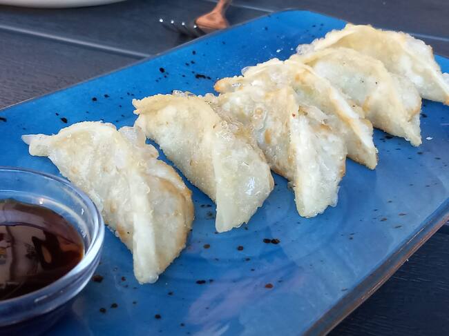 Gyozas de pollo y verduras