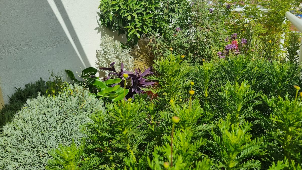 Bienvenidos a la nueva temporada del jardín de Eduardo Barba