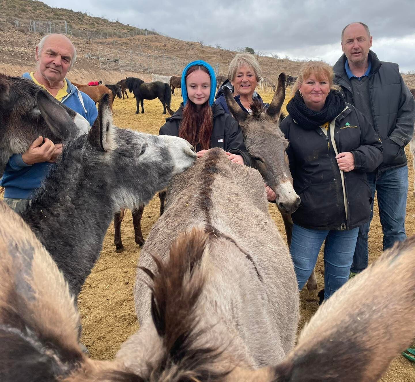 Andrea's Animal Rescue & The Henrietta Foundation