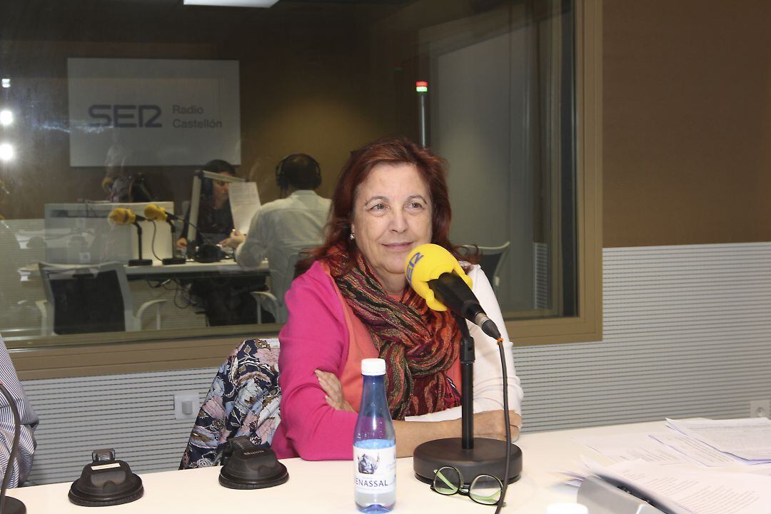 Imagen de la portavoz de Sanidad en Castellón de Comisiones Obreras, Encarna Barragán