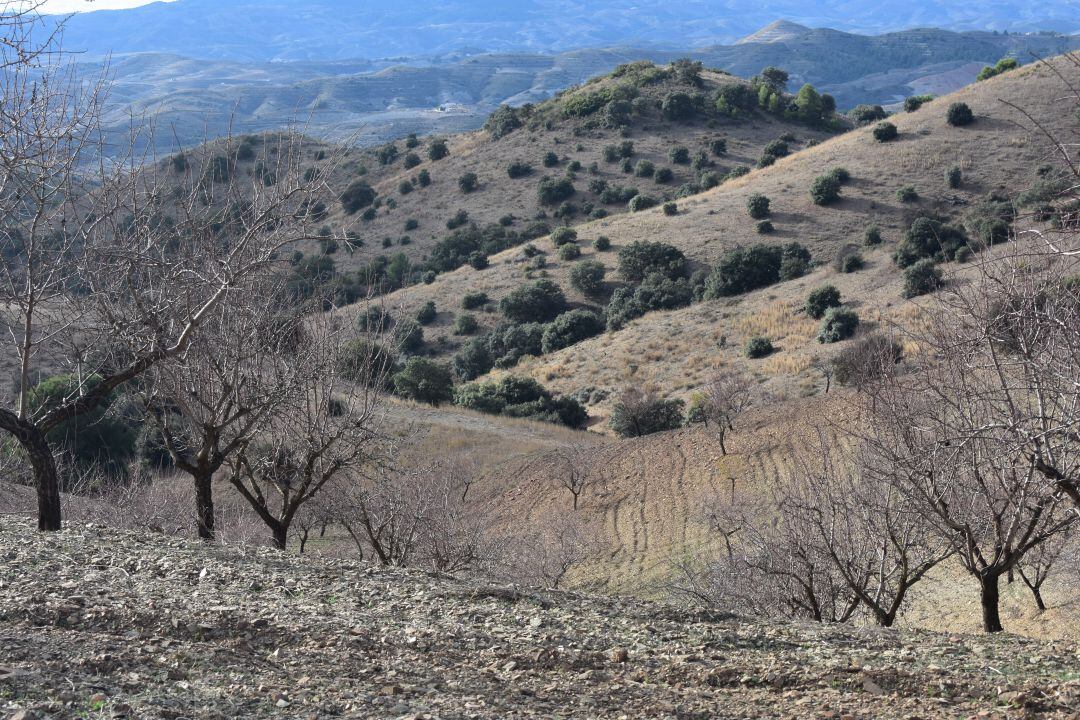Un paseo por Rambla Bermeja y Cima Casa Alta.