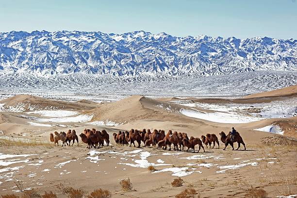 El Desierto de Gobi