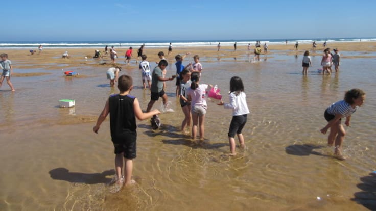 Orokieta Herri Eskola, pionera en Escuelas Azules: 'Es muy importante cuidar el océano', el mensaje que cala en el alumnado