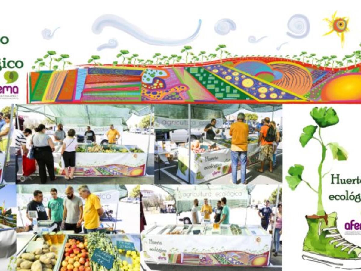 Huertos ecológicos, mercados y cafeterías para la integración de los enfermos mentales