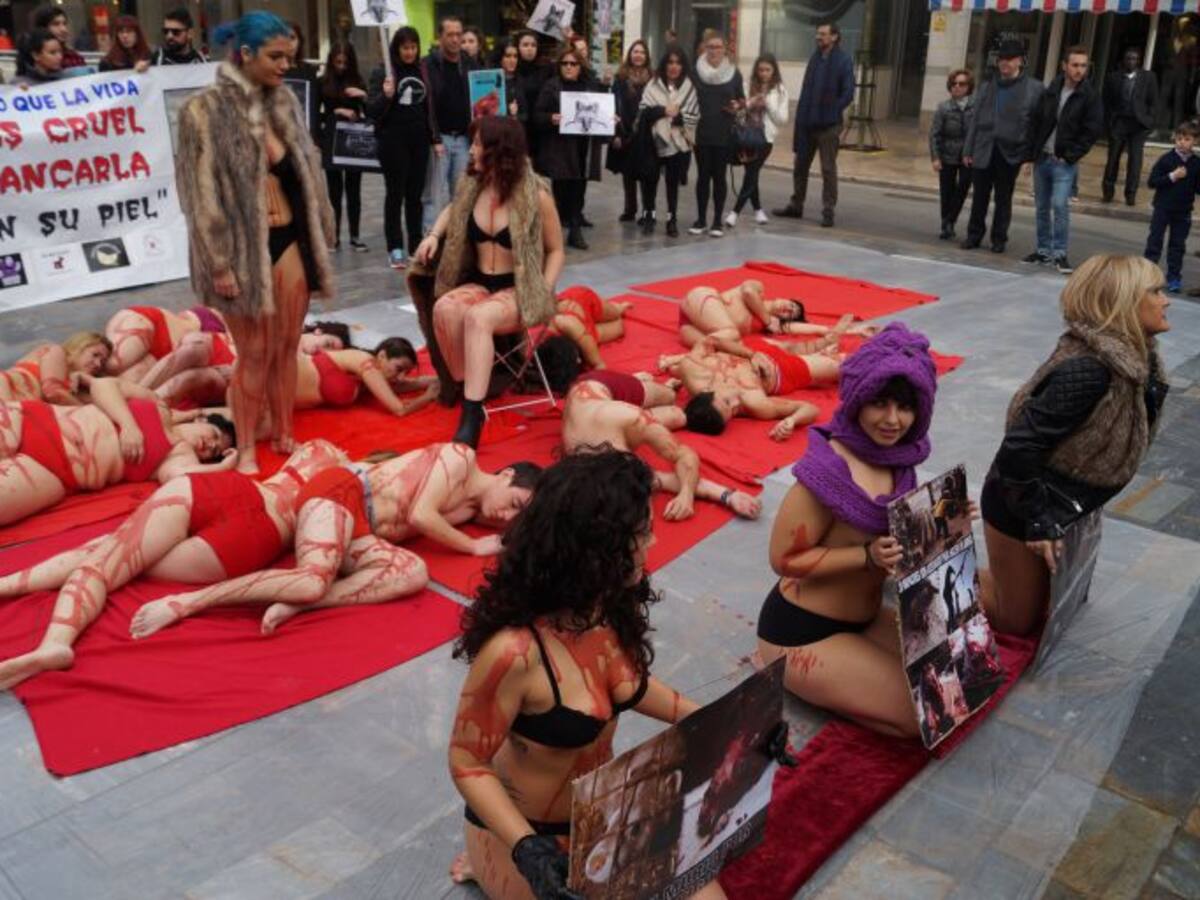 "No vistas crueldad"