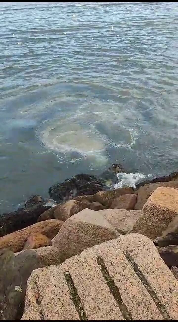 Imagen de los vertidos de aguas fecales en Vigo enviada por el BNG