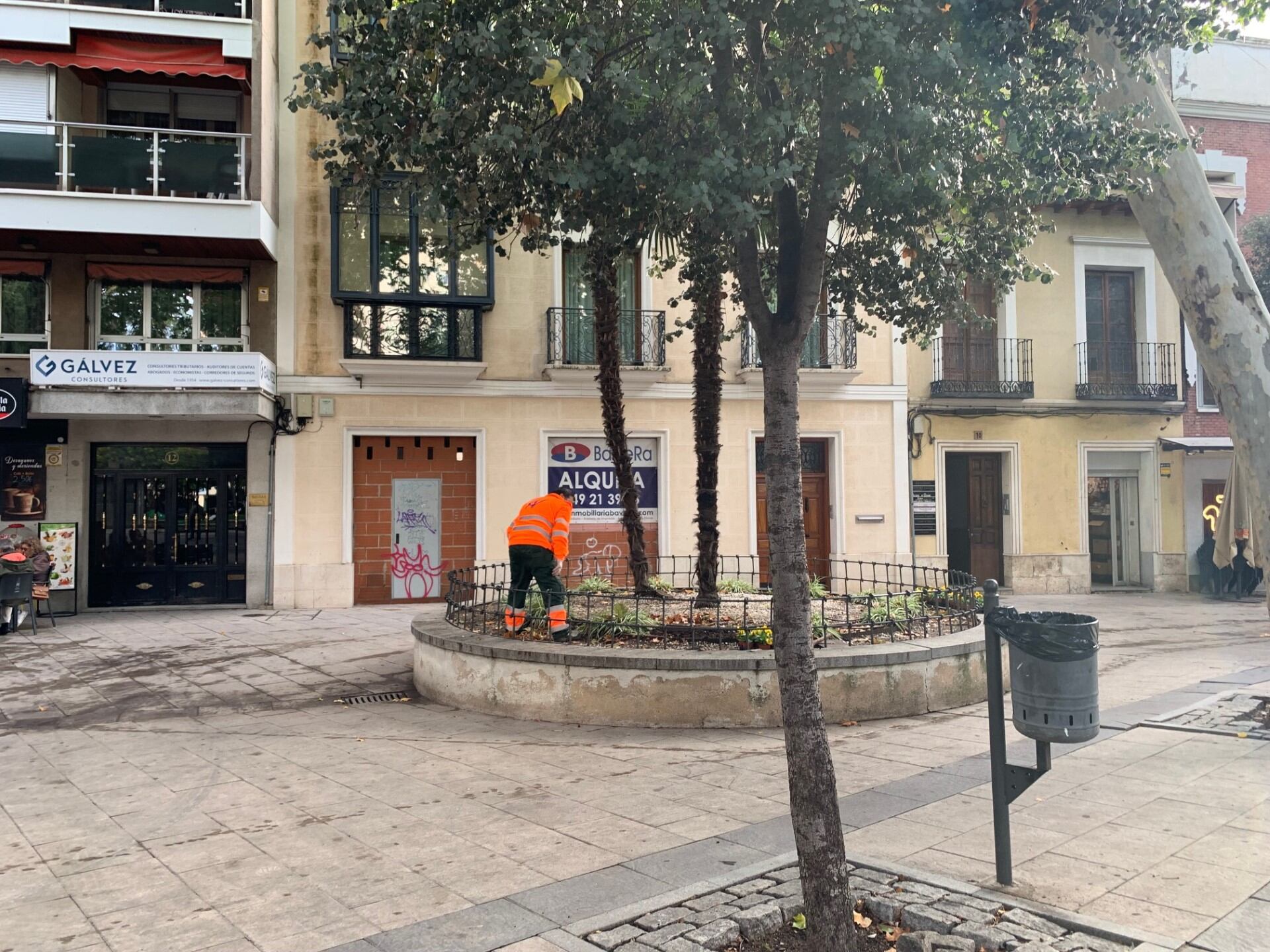 Trabajador de parques arreglando un parterre en Santo Domingo