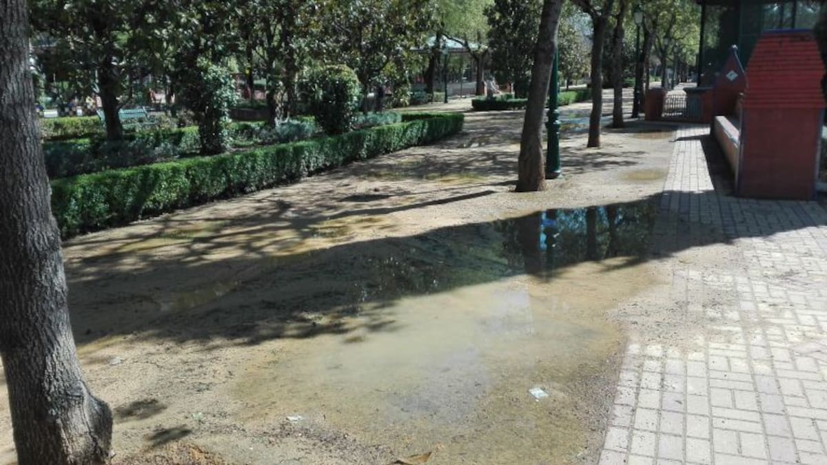 El PSOE denuncia el estado la piscina climatizada del campo de fútbol y las lagunas del prado