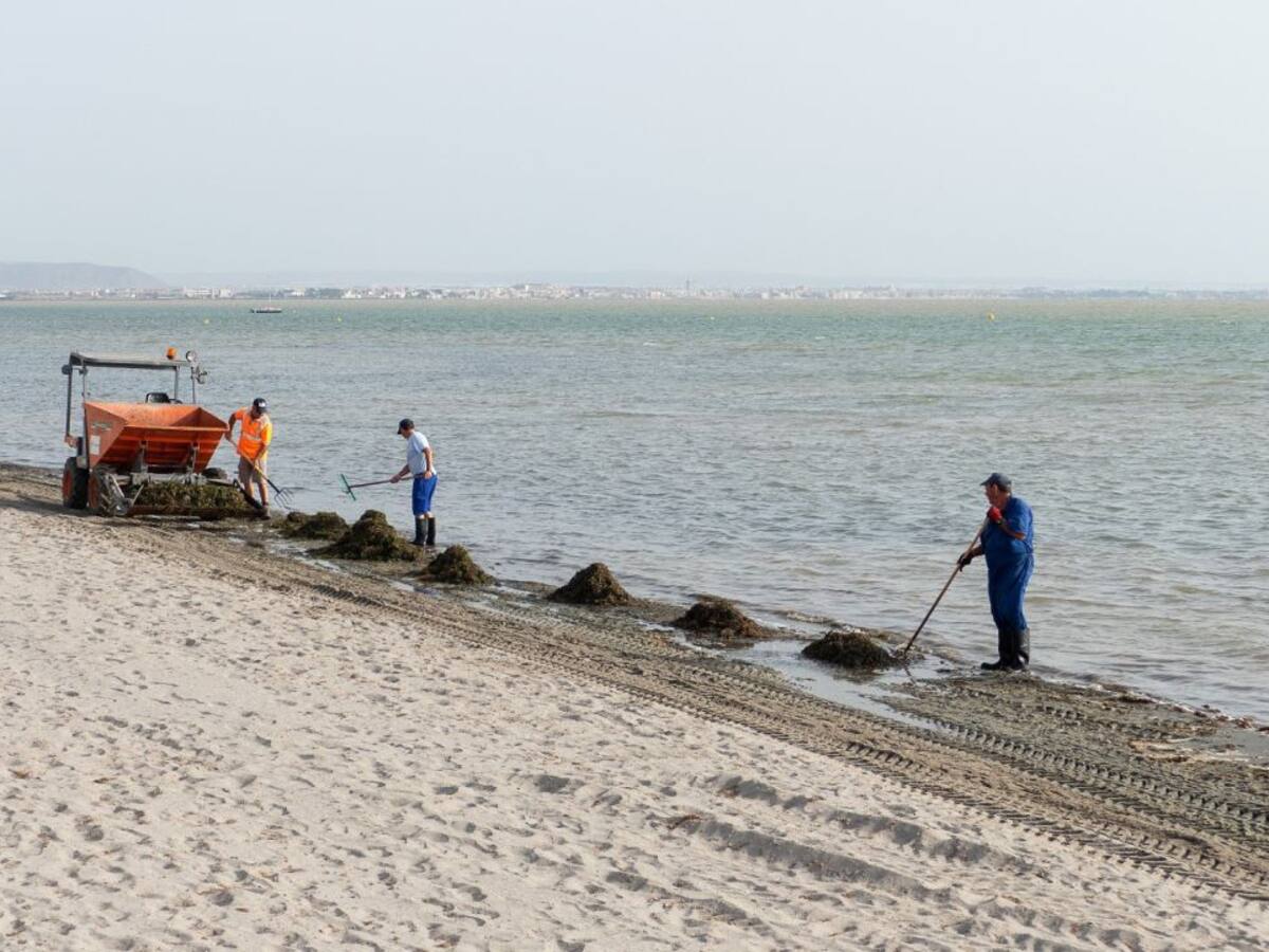 Luengo: "El Mar Menor está igual que el año pasado y mucho mejor de lo que estaba hace dos años"