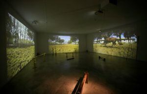 Instalación de Cristina Mejías