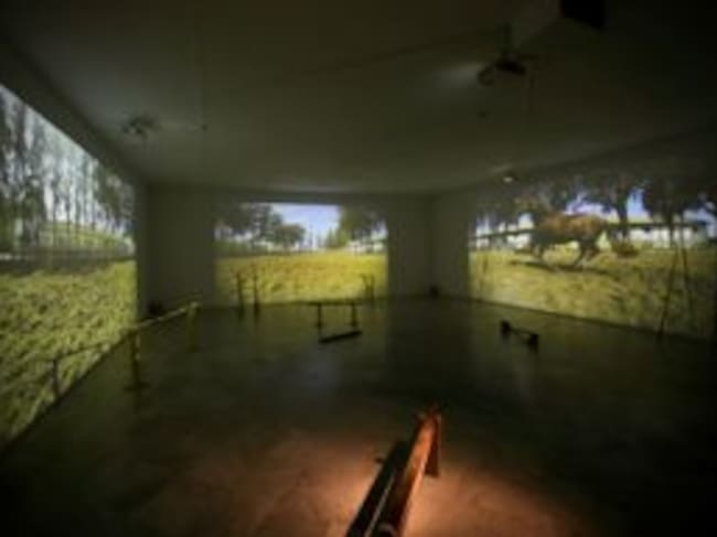 Instalación de Cristina Mejías