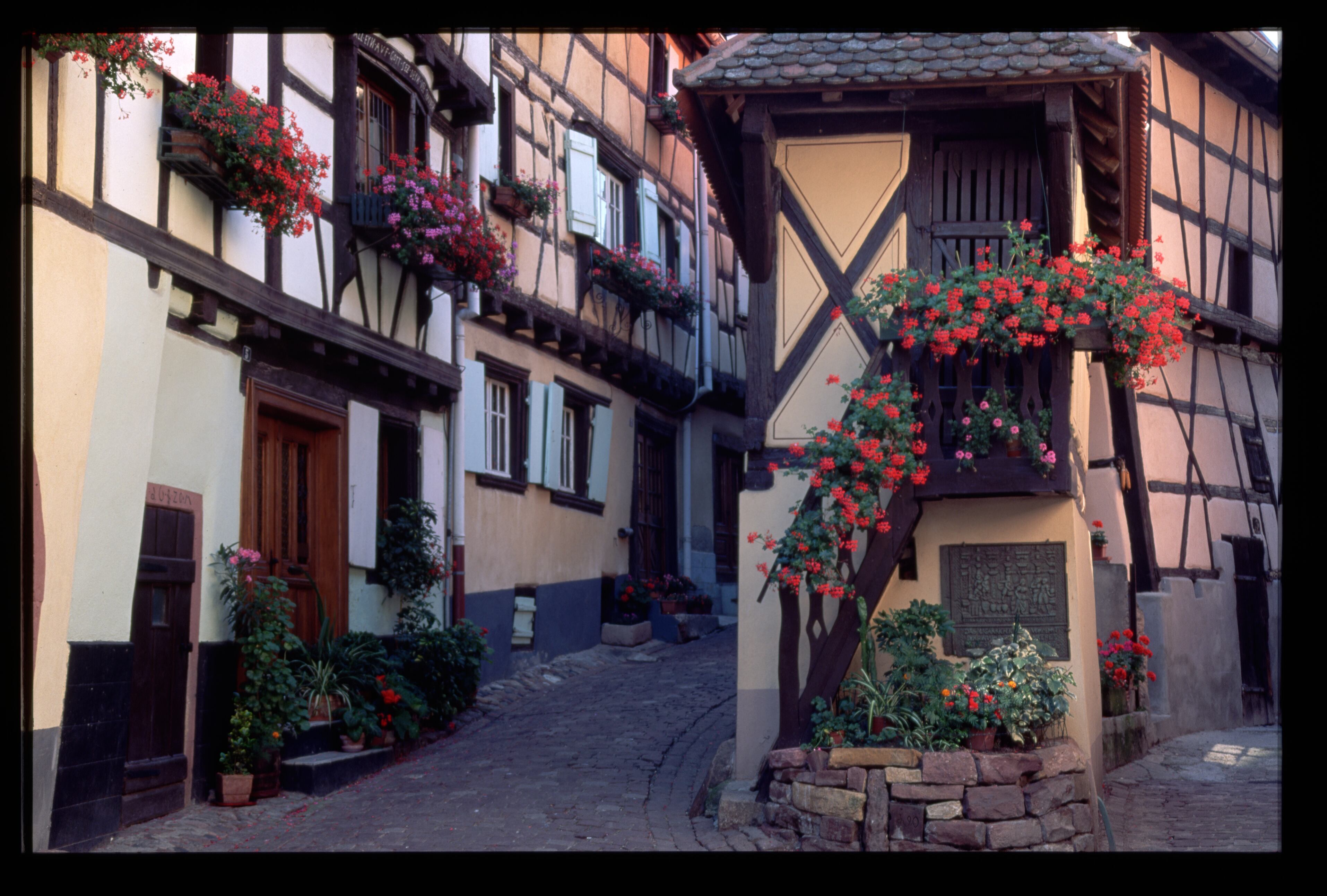 Casas en las calles de Eguisheim