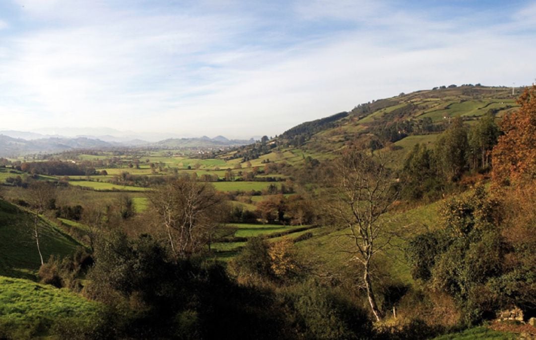 El concejo que hoy visitamos alberga la mayor plantación de manzanos de Asturias