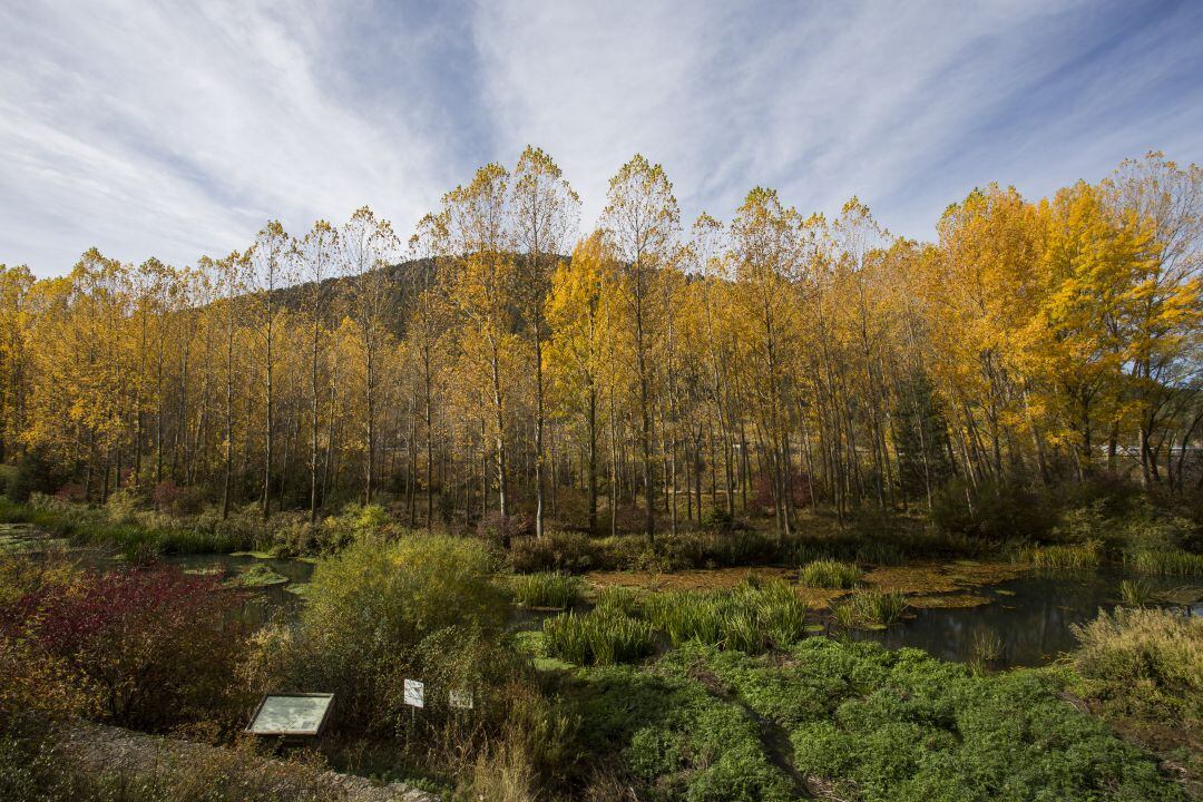 Cañón de Río Lobos
