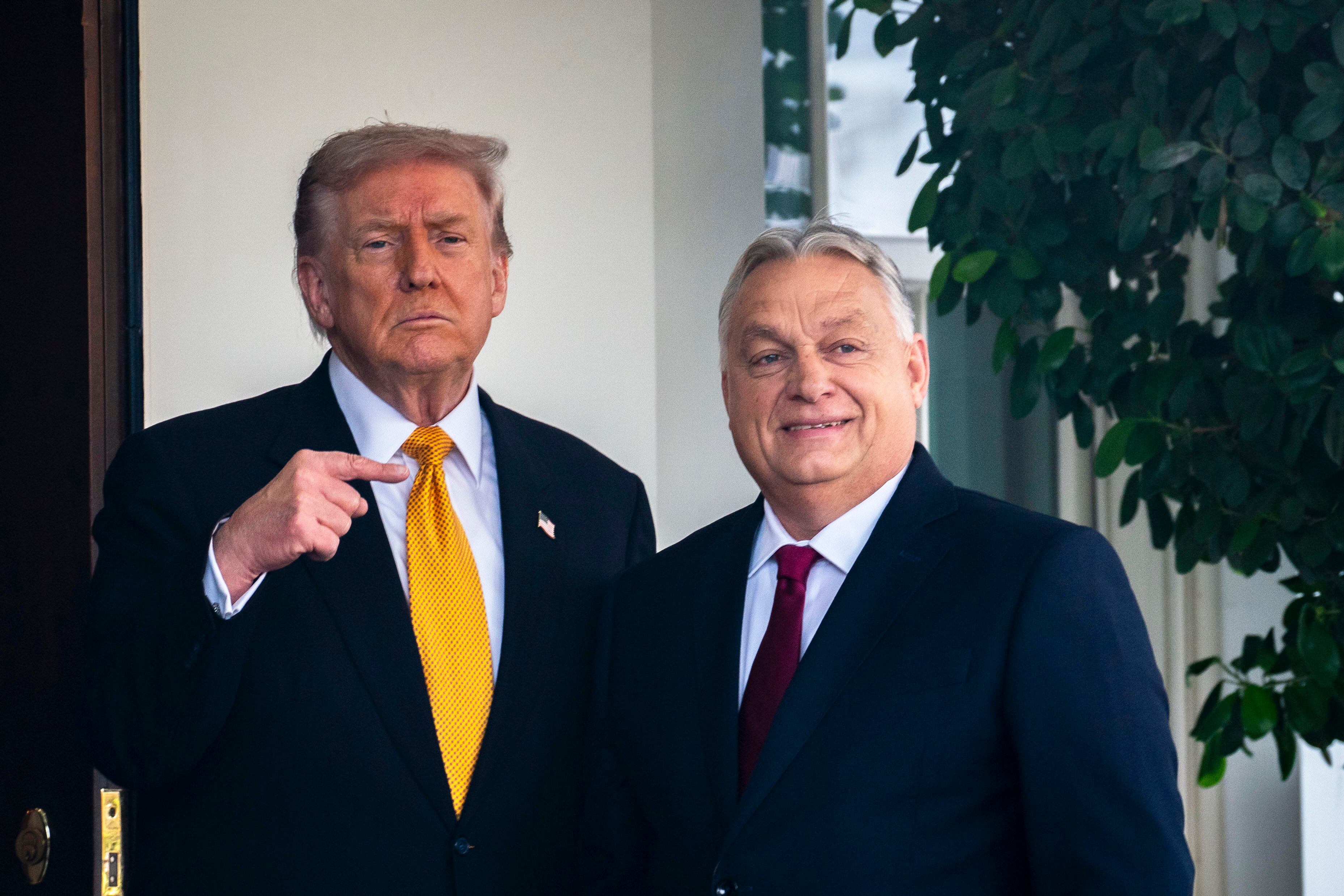 Donald Trump y Viktor Orbán durante la visita de este último a la Casa Blanca el pasado mes de noviembre