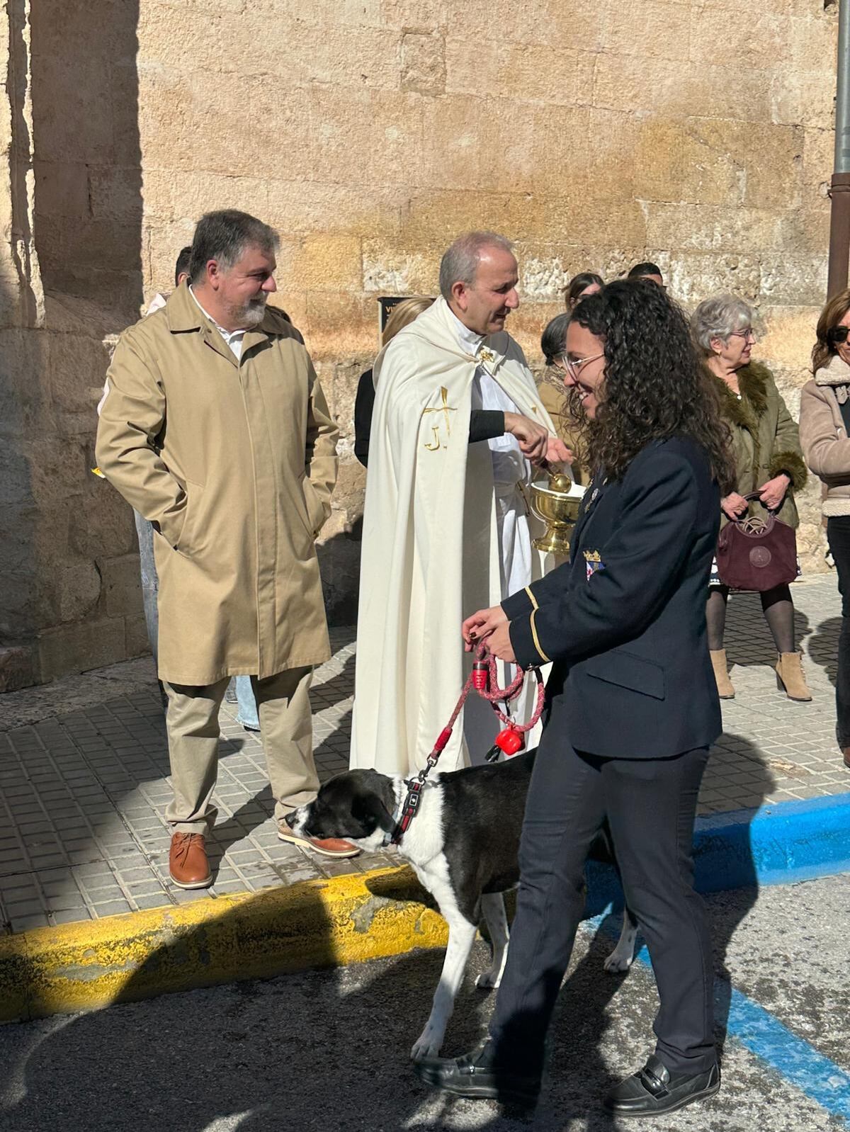 Desfile y bendición animales San Antón Villena