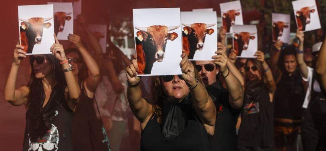 En la nota emitida también aportan un vídeo en el que, dicen, que se refleja lo que denuncian.