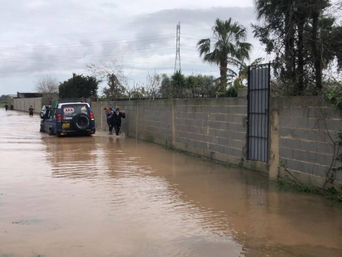 SOS en la perrera de Los Barrios