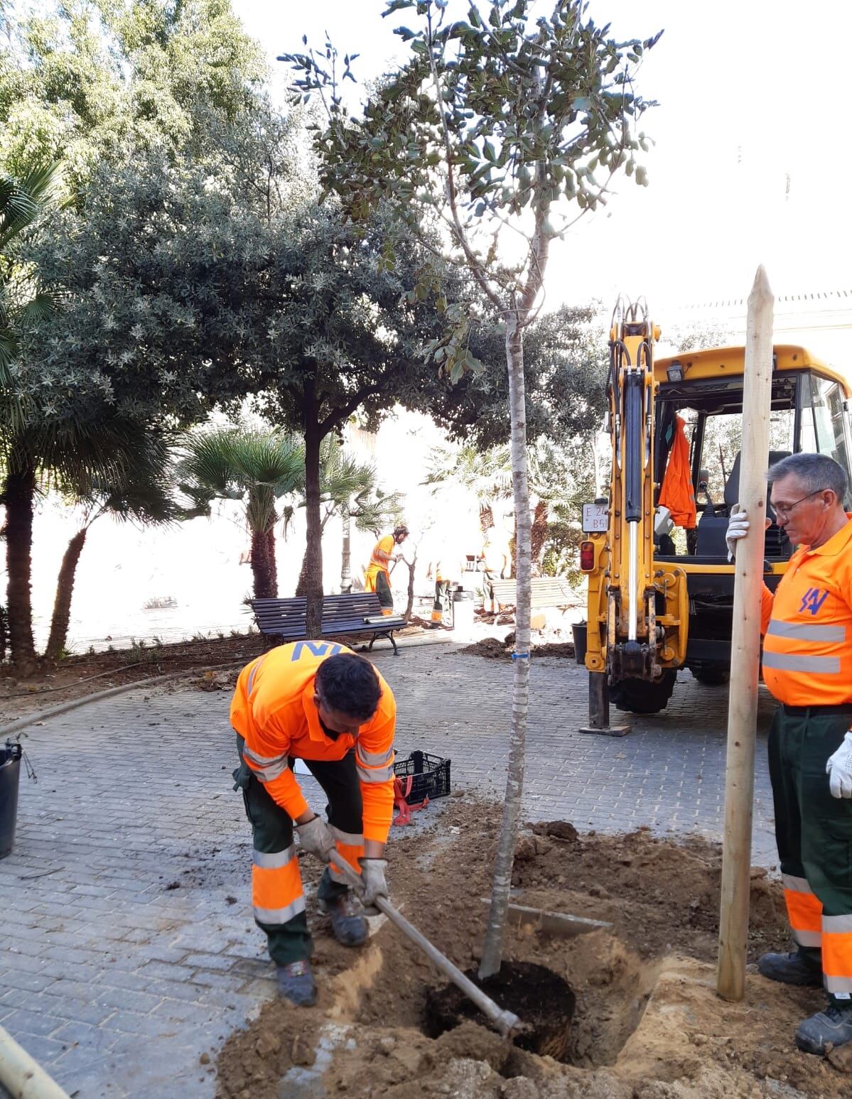 Servicio de Jardinería Sostenible del Ayuntamiento de València