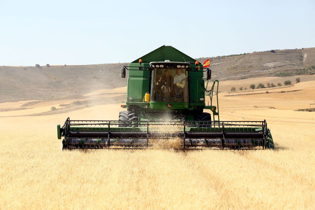 Cosechadora de cereal trabajando en un campo de Castilla y León