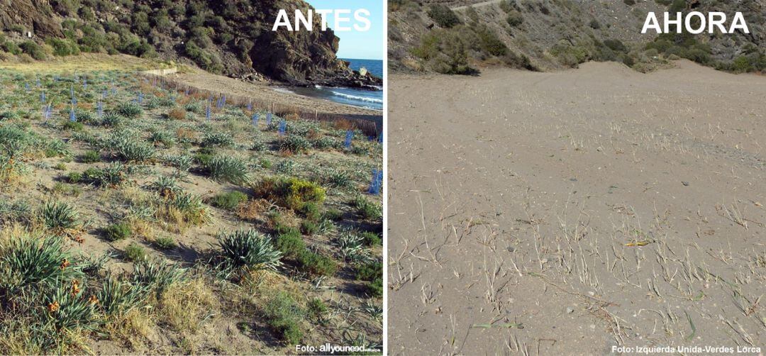 Comparativa realizada por IU-V sobre el impacto del ataque a la vegetación protegida de Calnegre