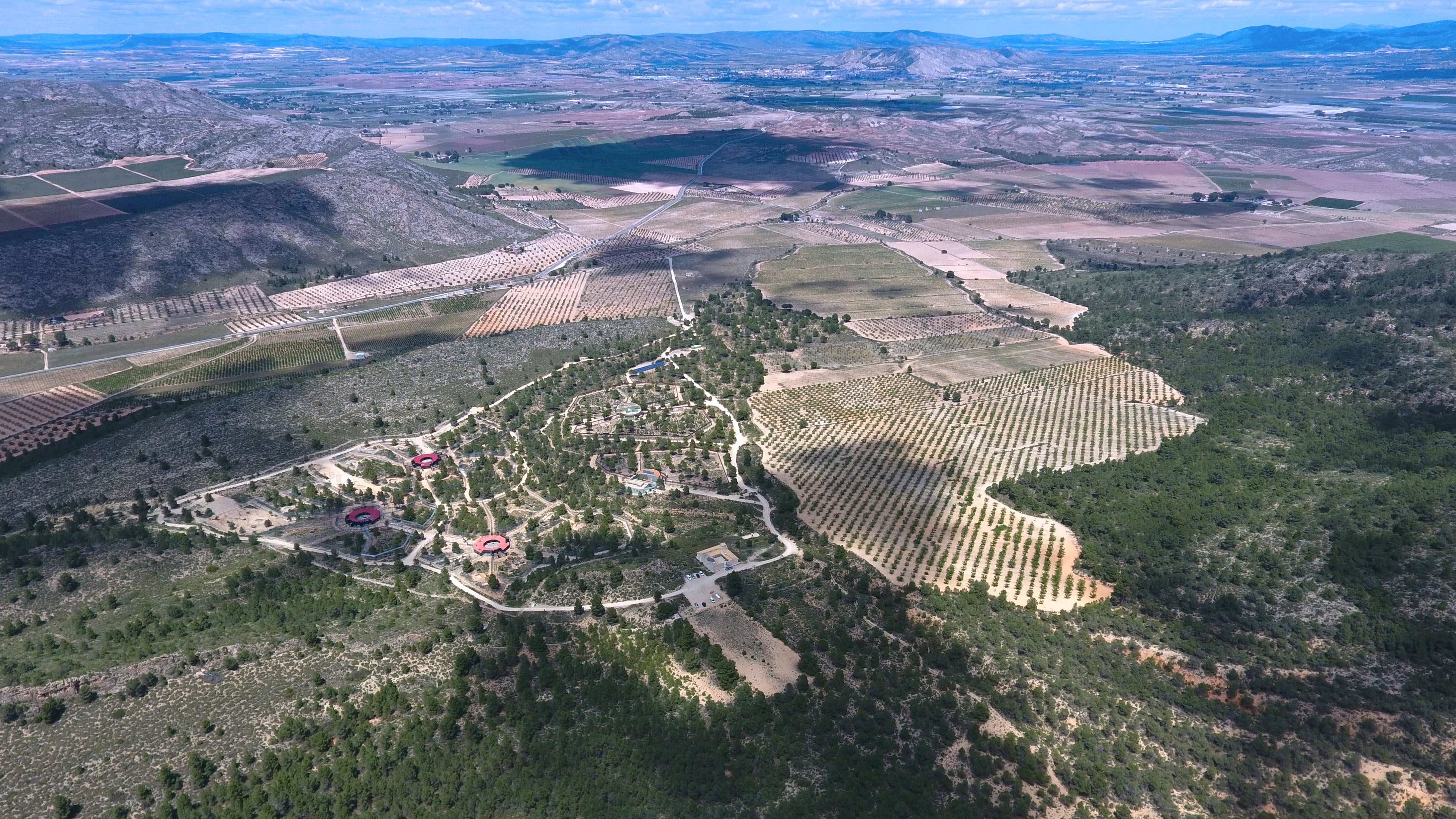 AAP Primadomus y parcela aledaña