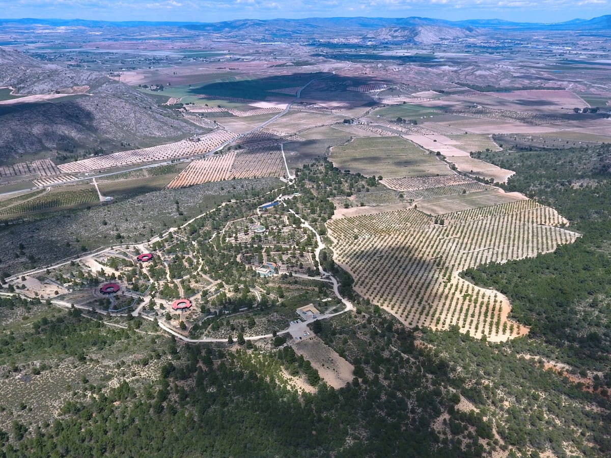 Primadomus inicia los trabajos para la restauración productiva y ambiental de la parcela junto al Centro de Rescate