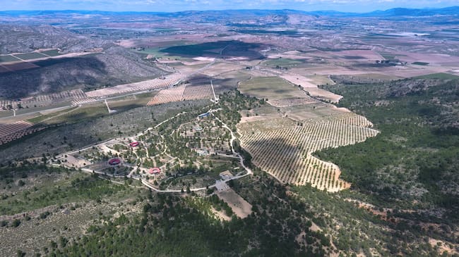 AAP Primadomus y parcela aledaña