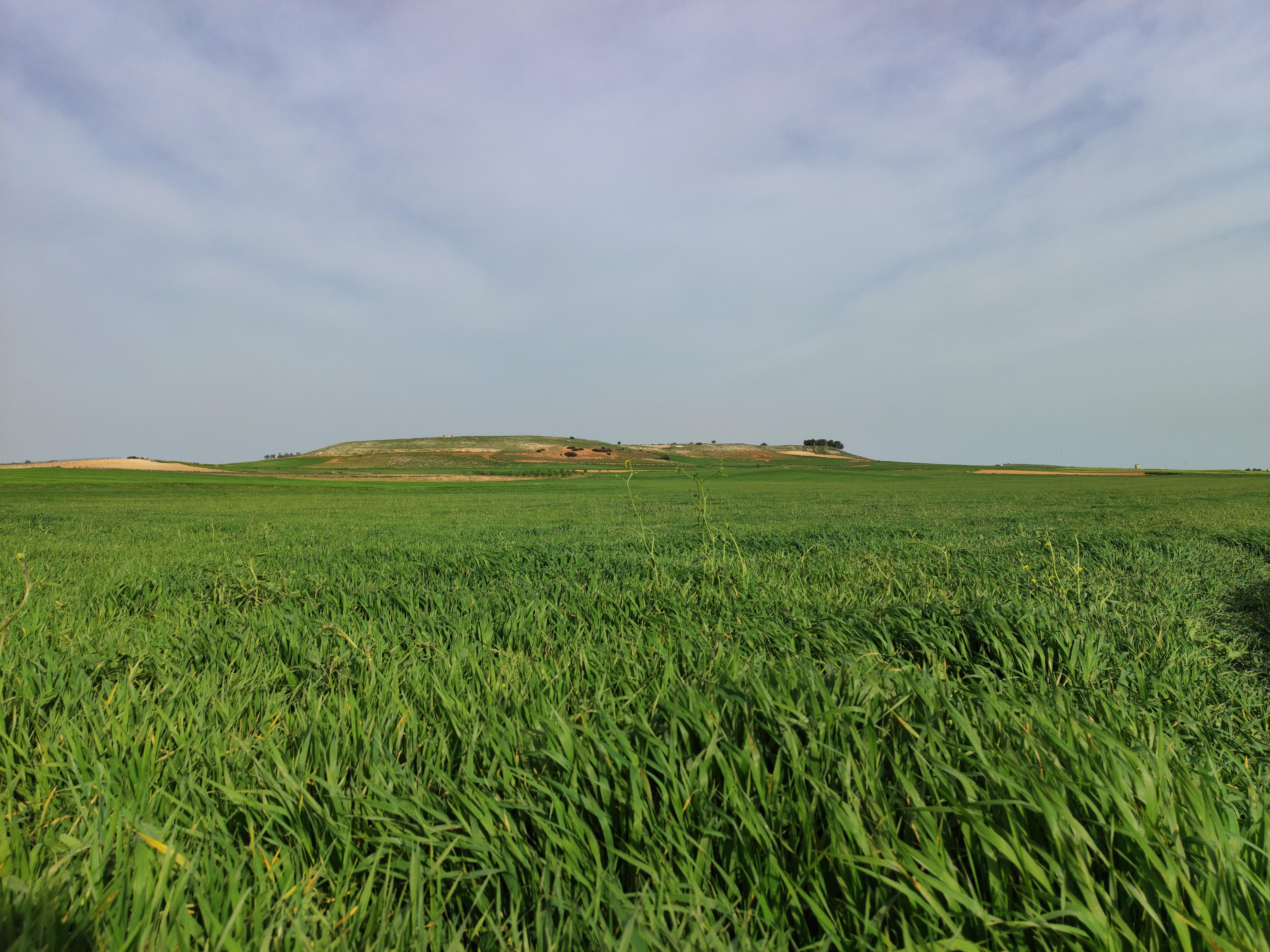 Campo de La Mancha en abril