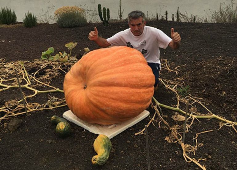 Calabaza y Mauro Quintero
