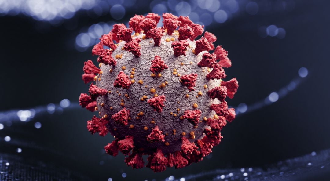 En las últimas 24 horas se han detectado 422 nuevos casos de Covid-19