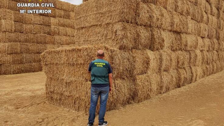 Entrevista a Julio Cabeza jefe del Equipo ROCA de León (27/9/2021)