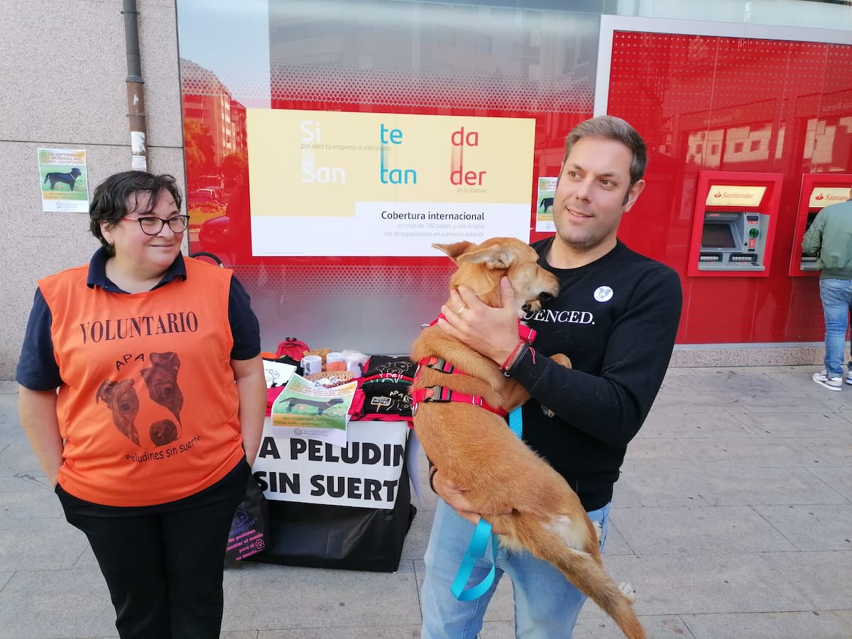 Adoptados los ocho cachorros de perro que habían abandonado en San Esteban