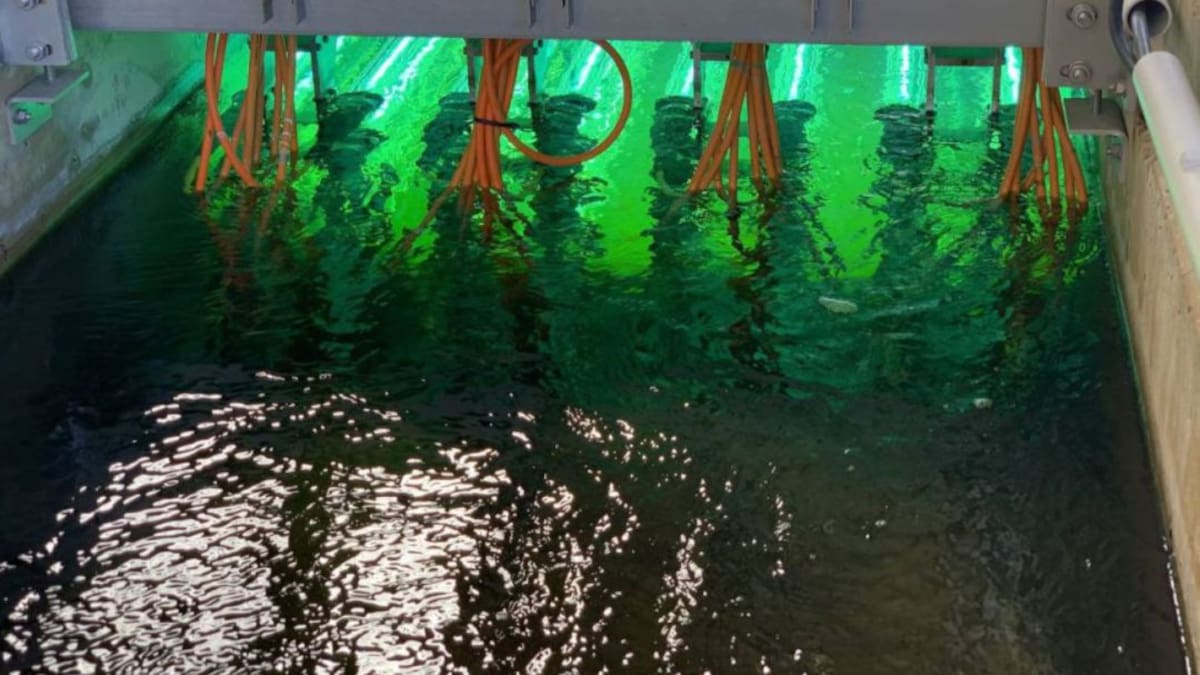 La Ventana Comunitat Valenciana - Pilar Domingo (27/10/2020)