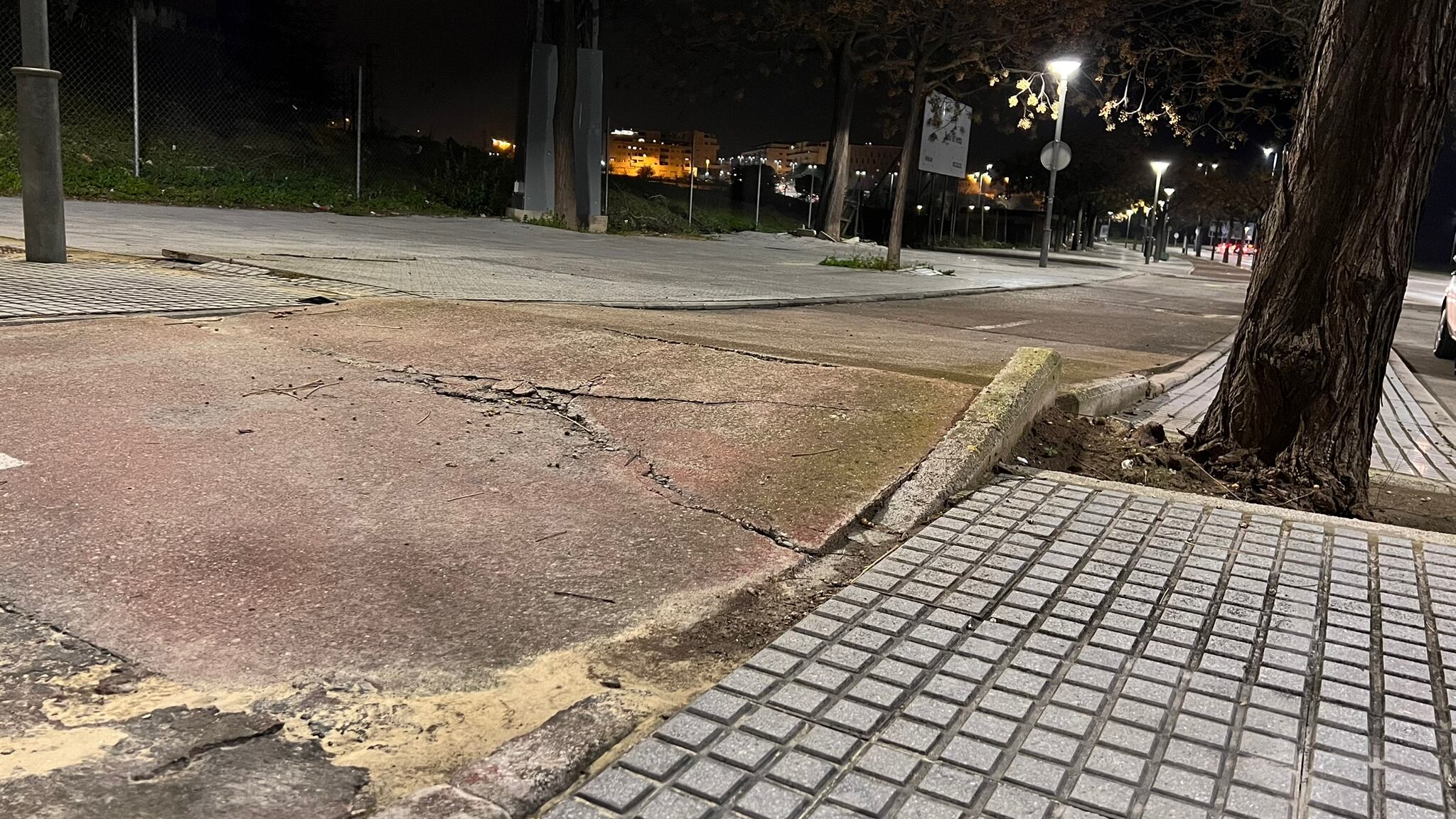 Estado que presenta un tramo del carril bici de Jerez