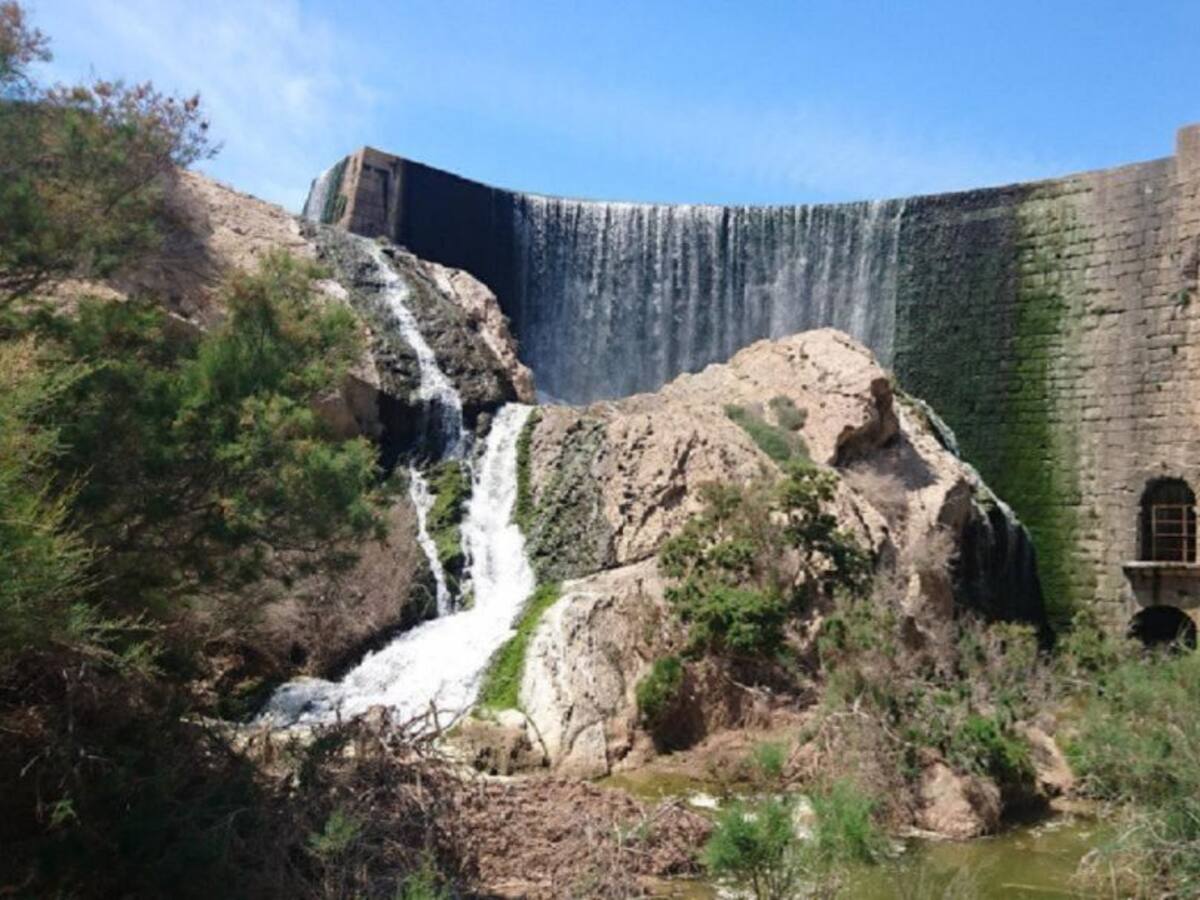 El ayuntamiento solicita una ayuda para elaborar un Plan Rector de la Red de Riego Tradicional del Palmeral