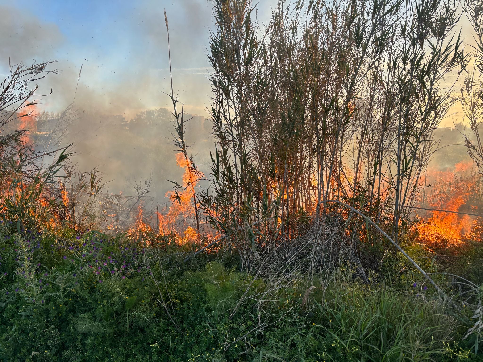 Incendio de rastrojos